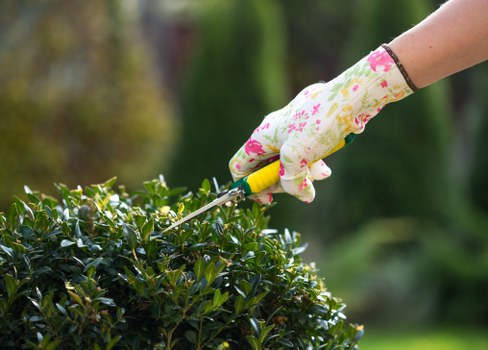 Team trimming hedges near Palmers Green residential area
