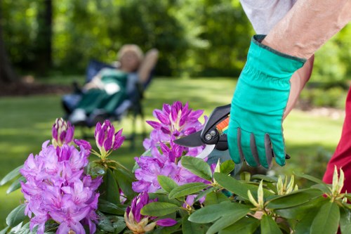 Landscaping team installing a sustainable border in an Enfield garden